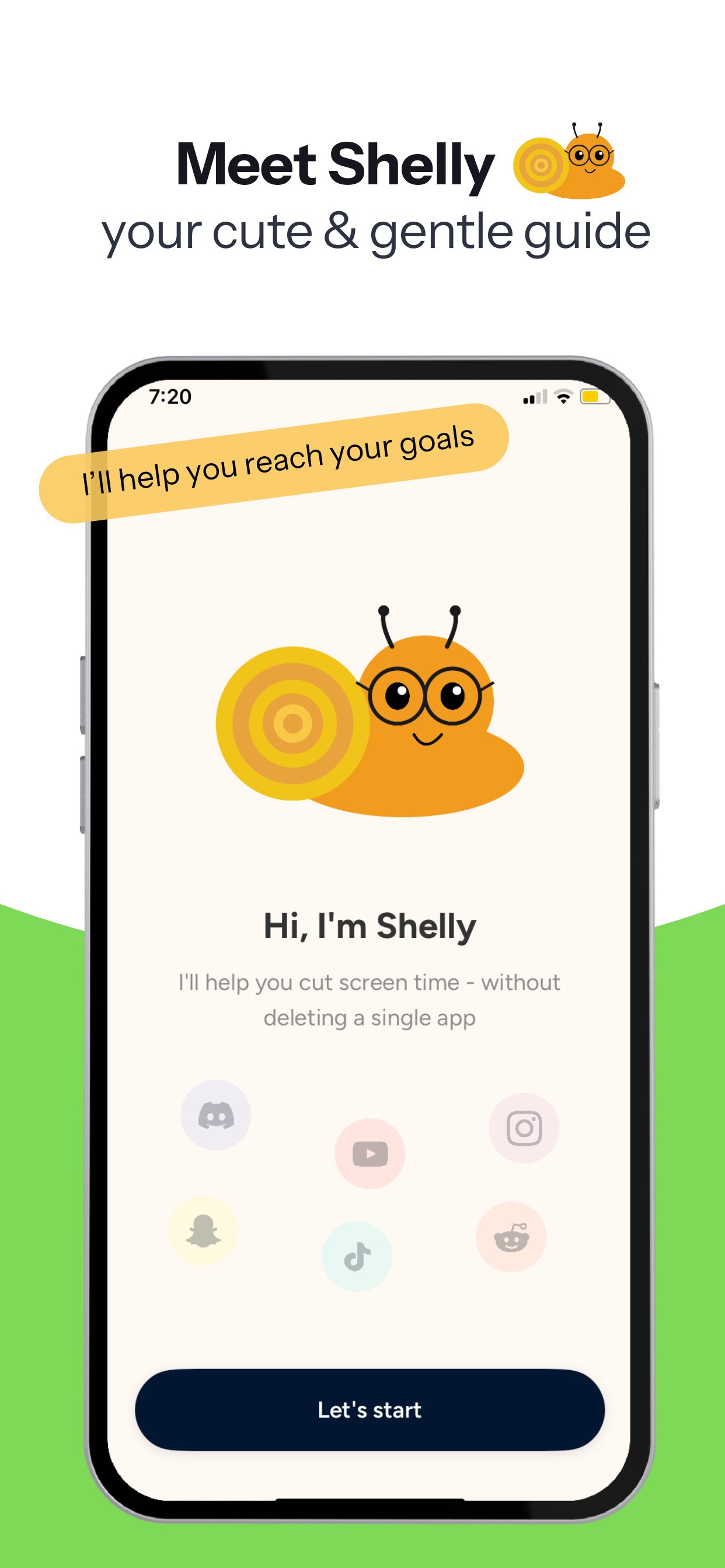 Meet Shelly - your cute and gentle guide